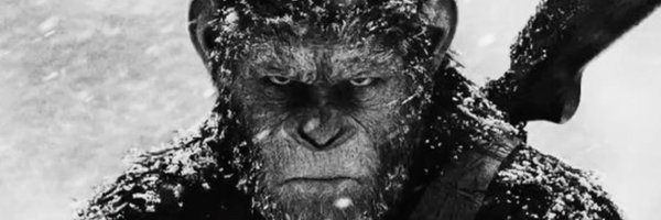 tariqkimbrough1 Profile Banner