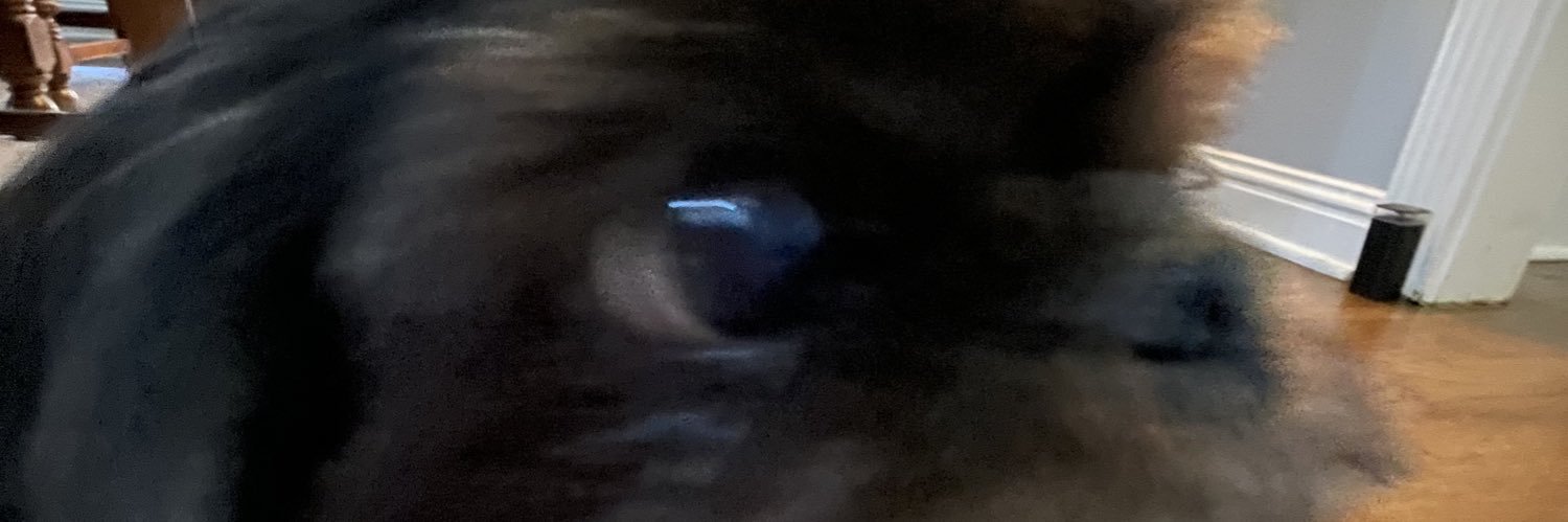 DaTrenters's profile banner image