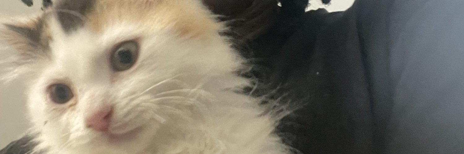 FormerlyOG's profile banner image