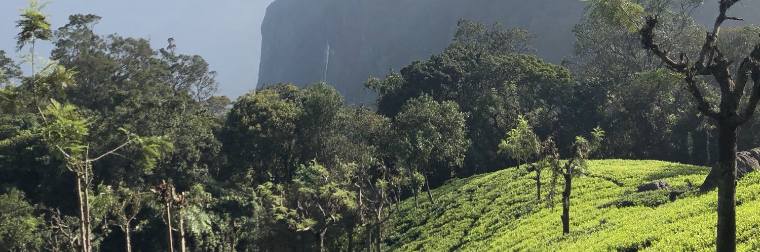 millionraj's profile banner image