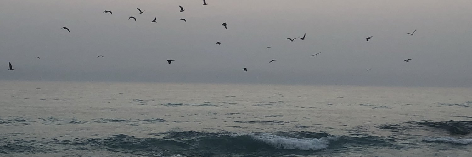 KathiJames007's profile banner image