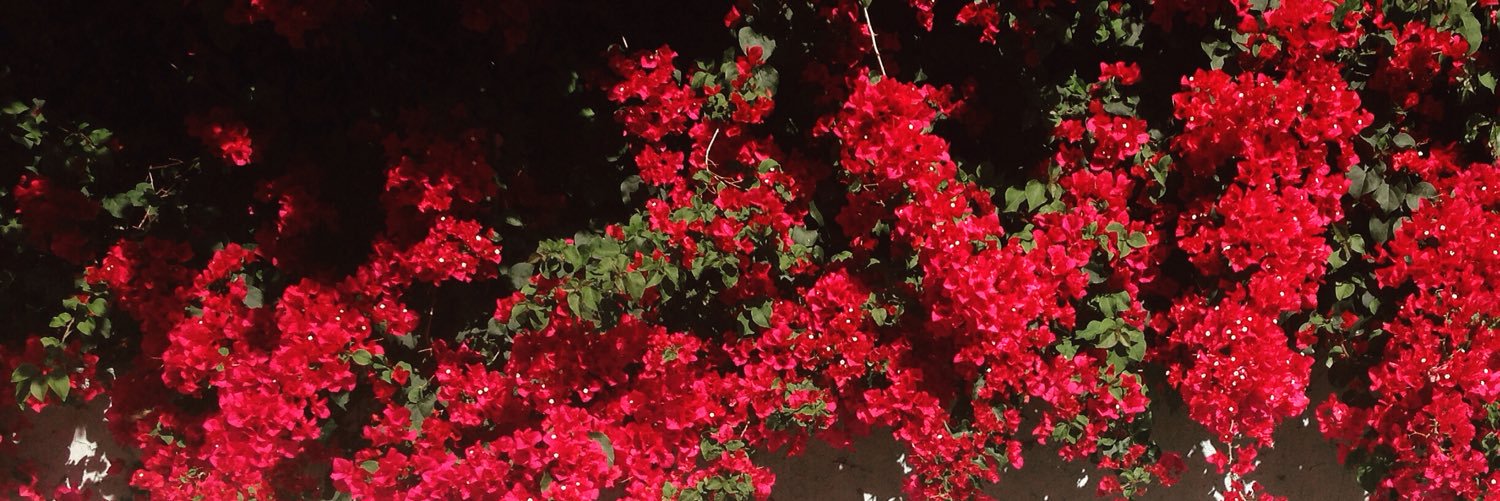 CarolineB007's profile banner image