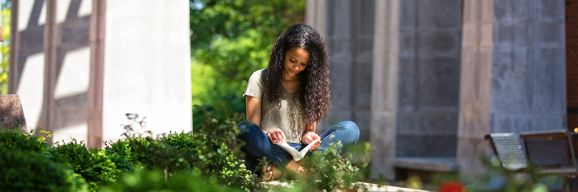 Mark Cornelison banner