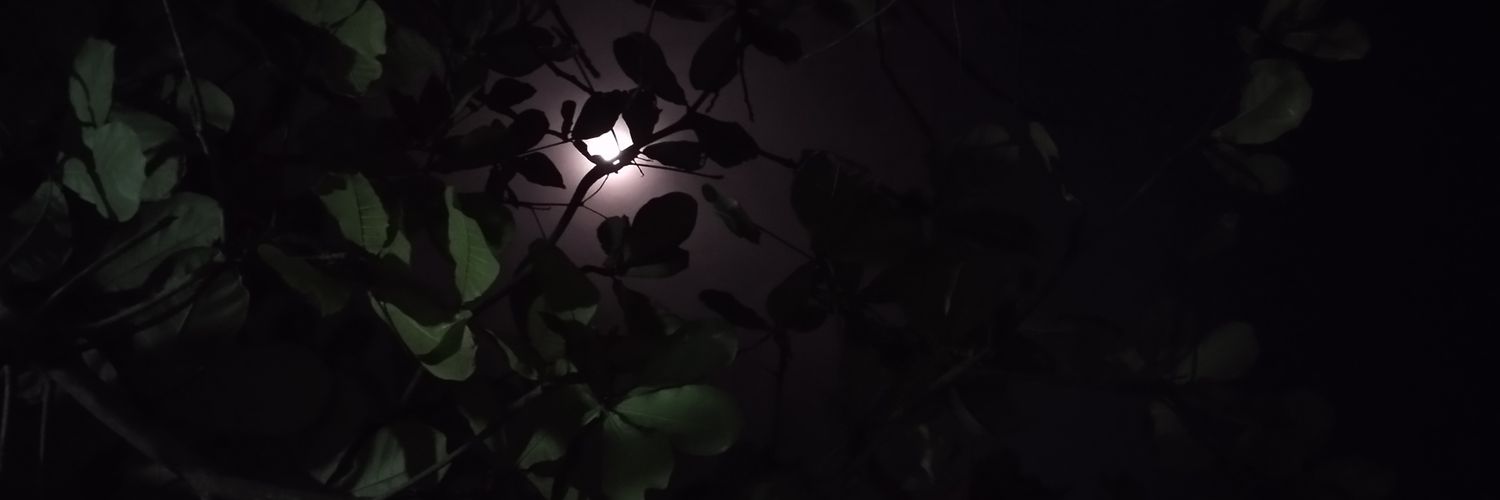 abaybarey's profile banner image