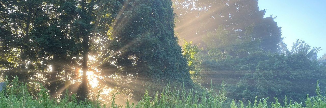 Christopher Keevil banner