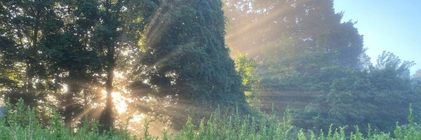 chriskeevil Profile Banner