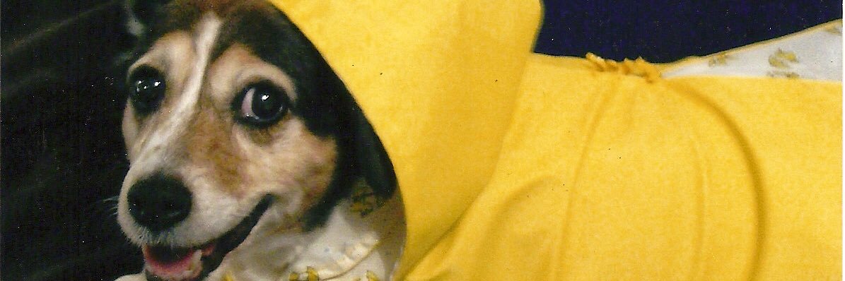 TaffyTwoshoes banner