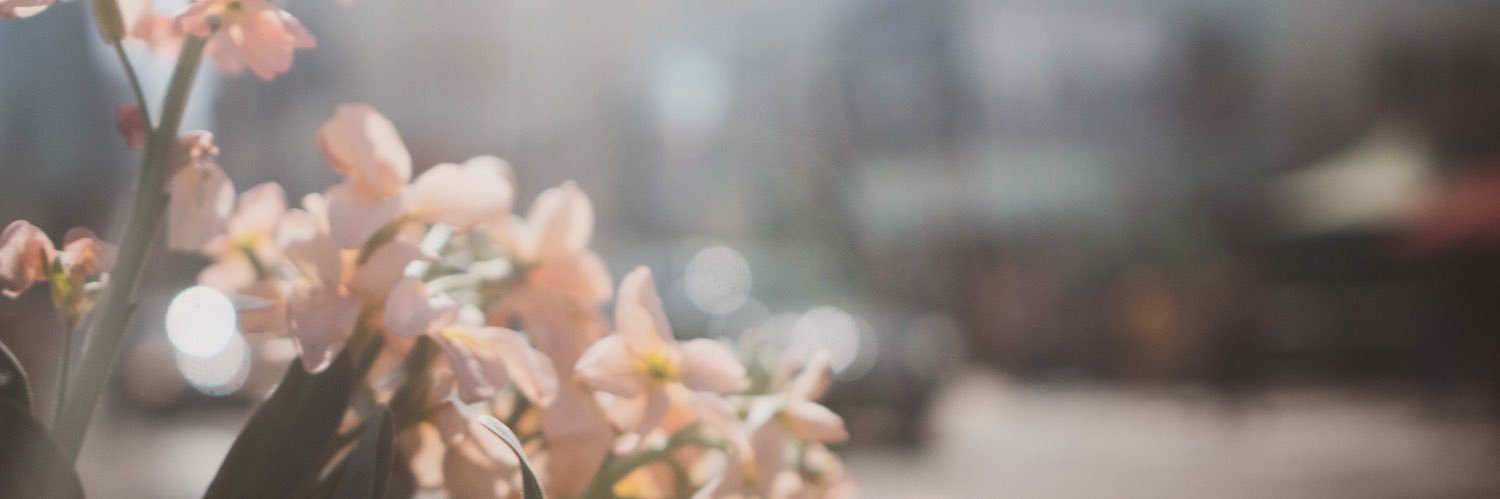 JamesOhNo's profile banner image