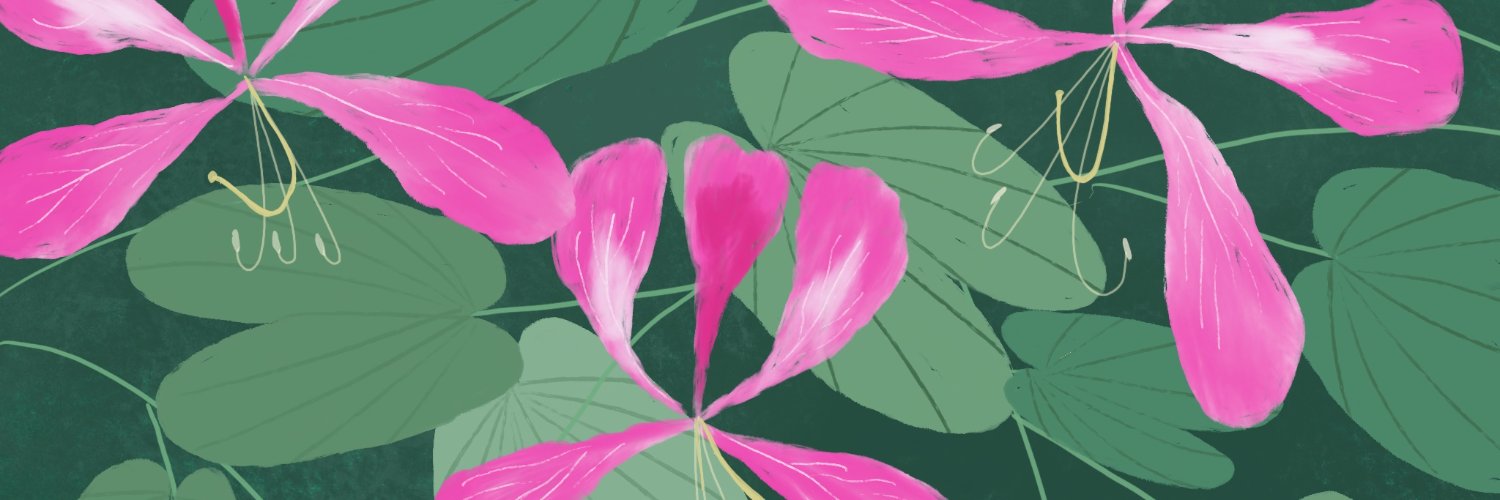 ▣▧▤▦▣ banner