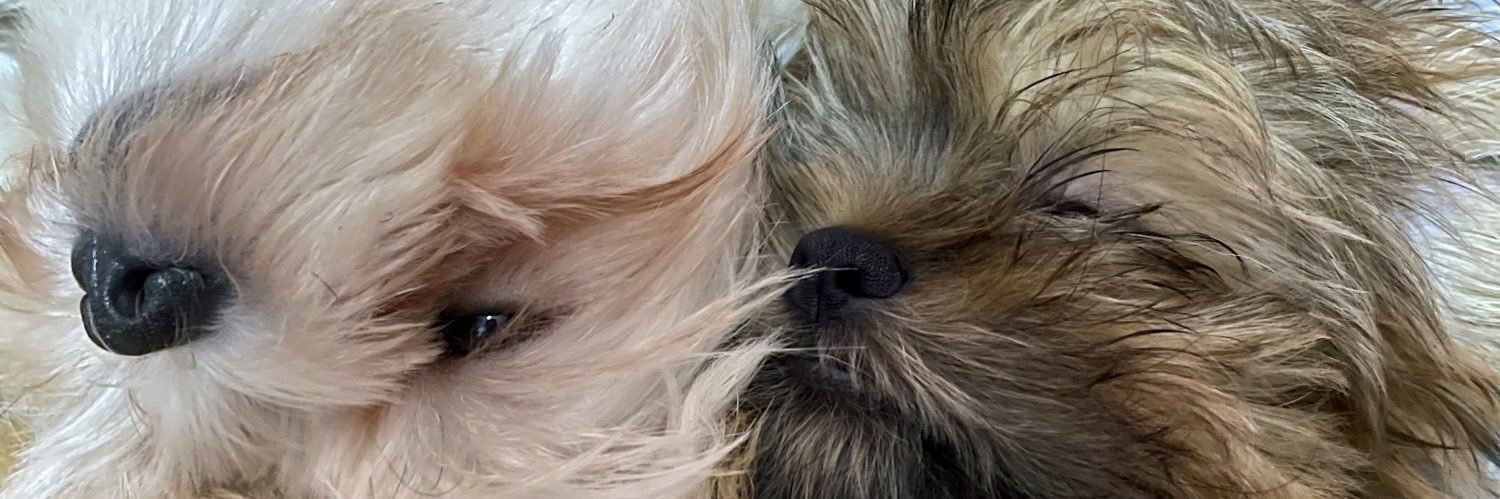 KDkimdom's profile banner image