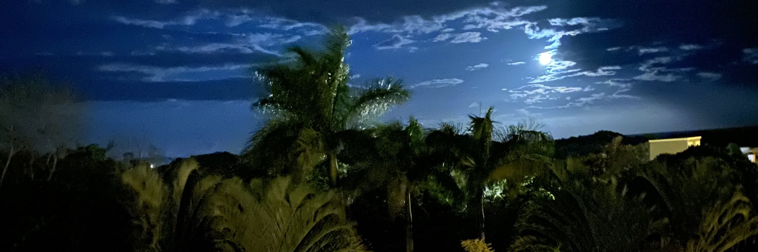 notlimz's profile banner image