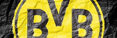 Echte Liebe ist schwarz-gelb banner