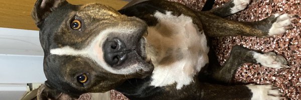 ahretapi Profile Banner