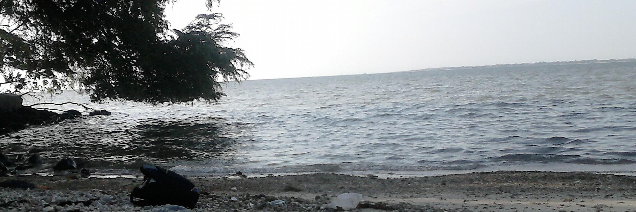 Angggunputriani's profile banner image