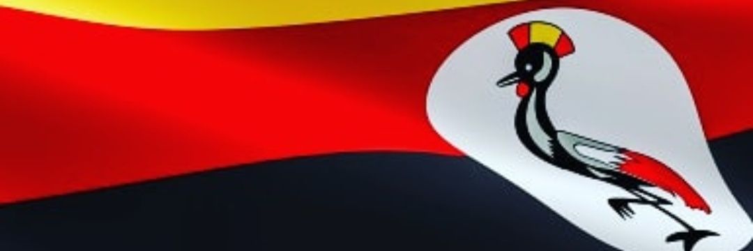 Ugandan Patriot 🇺🇬's banner