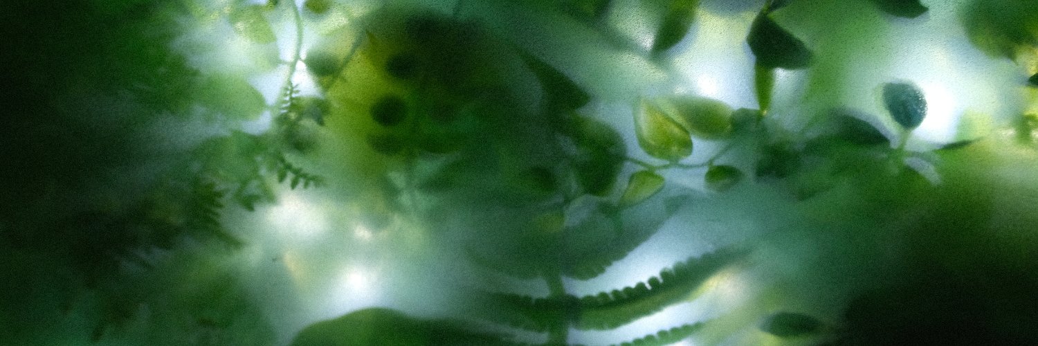 💽 𝙈𝙖𝙭𝙞𝙢𝙪𝙢² banner