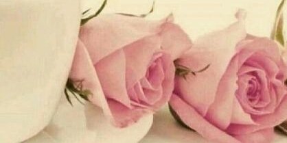 سعودي وكفى banner