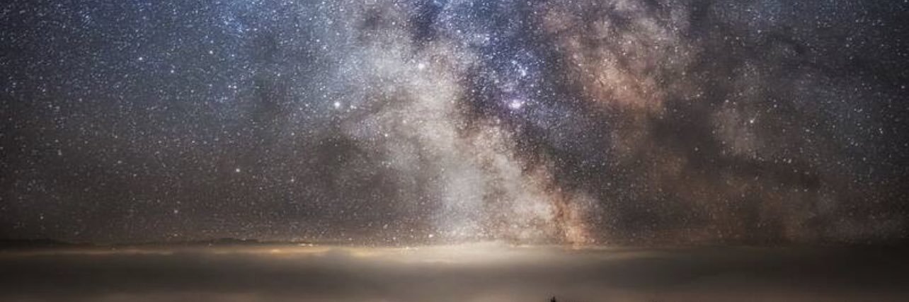 محمد اسکندری banner