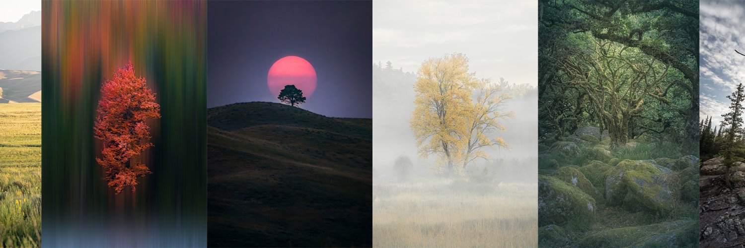 Kyle Barden 🌳 📸 banner