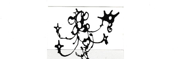 rita__eme Profile Banner