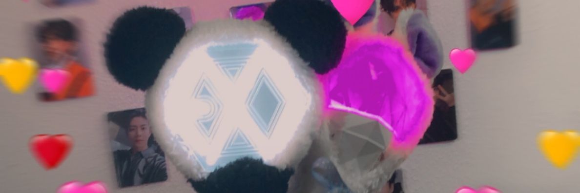 anne_tuiber's profile banner image