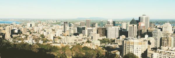 carolinepe1 Profile Banner