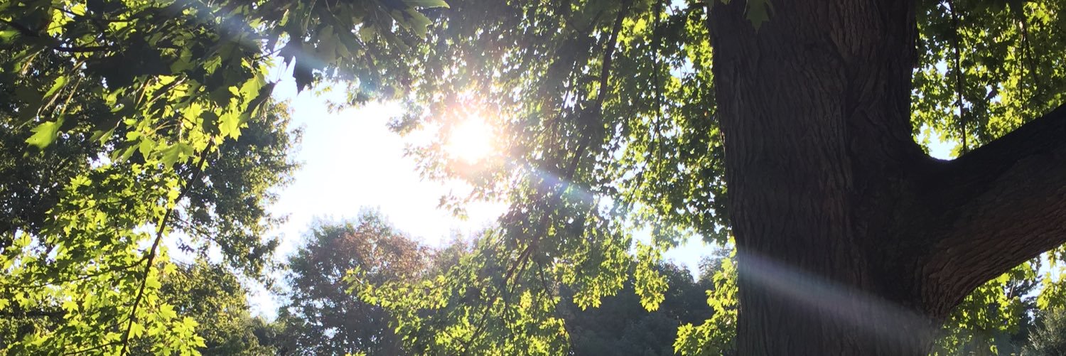 D_RockBEATS's profile banner image
