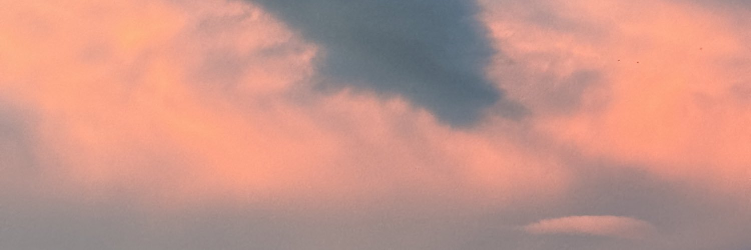 angkbirdy_'s profile banner image