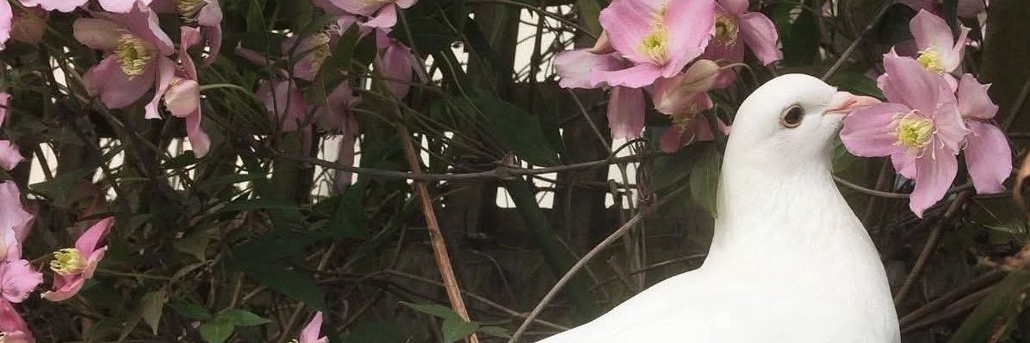 سارَة banner