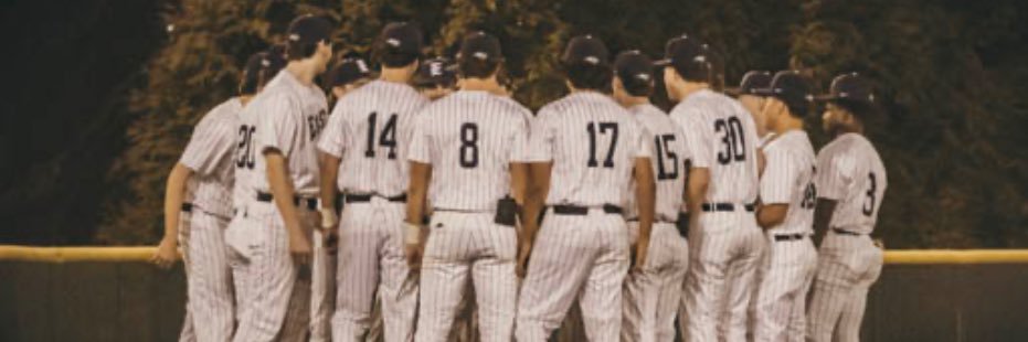 Dalton Davsko banner