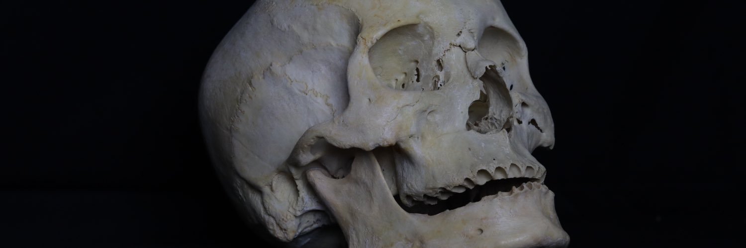 Skull finder enthusiast banner