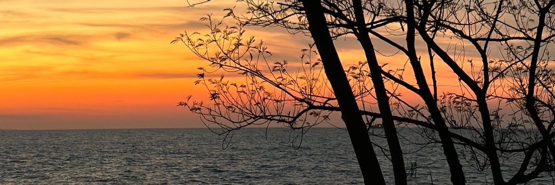 LoveJoyLim1's profile banner image