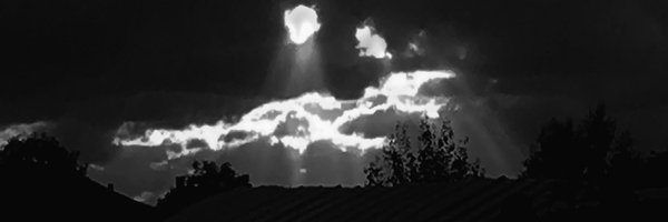 CauIdr Profile Banner