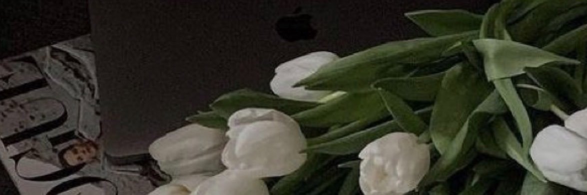 zvo_29's profile banner image