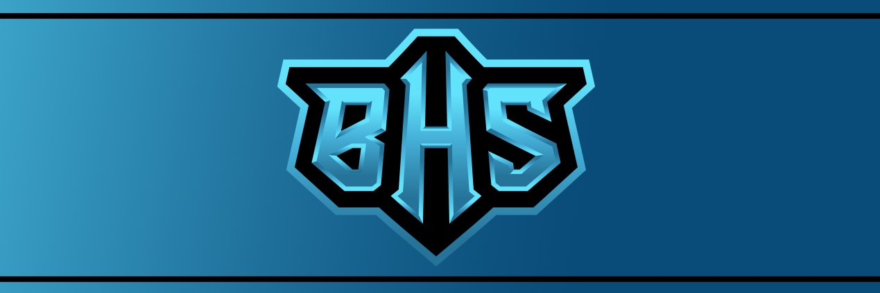 Team BHS banner