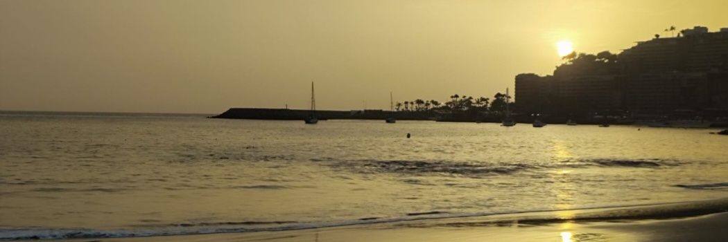 🐸💄🍷Adesa🇮🇨 banner