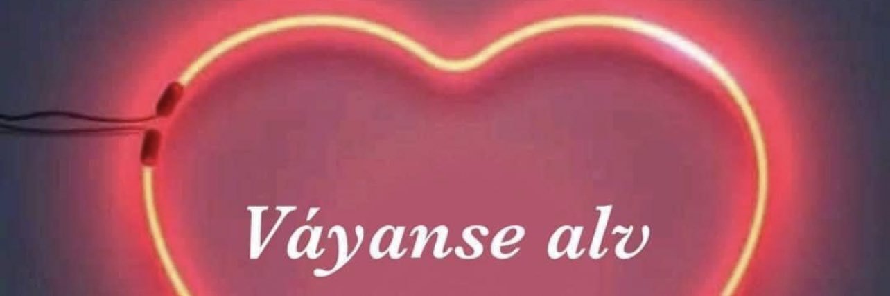 _itzeeel_'s profile banner image