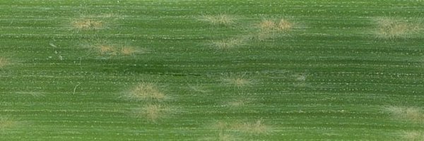 MarionCMuller Profile Banner