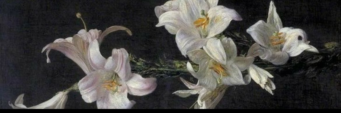 iiRK3N's profile banner image