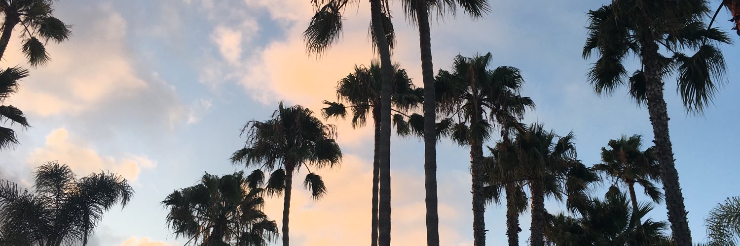 CoreeBalsamo's profile banner image