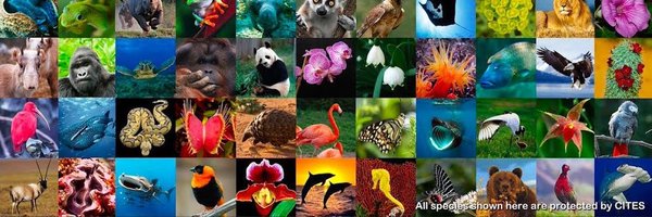 GlobalBioFest Profile Banner