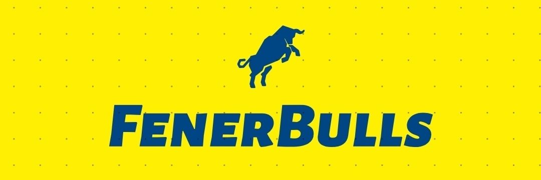 FenerBulls banner