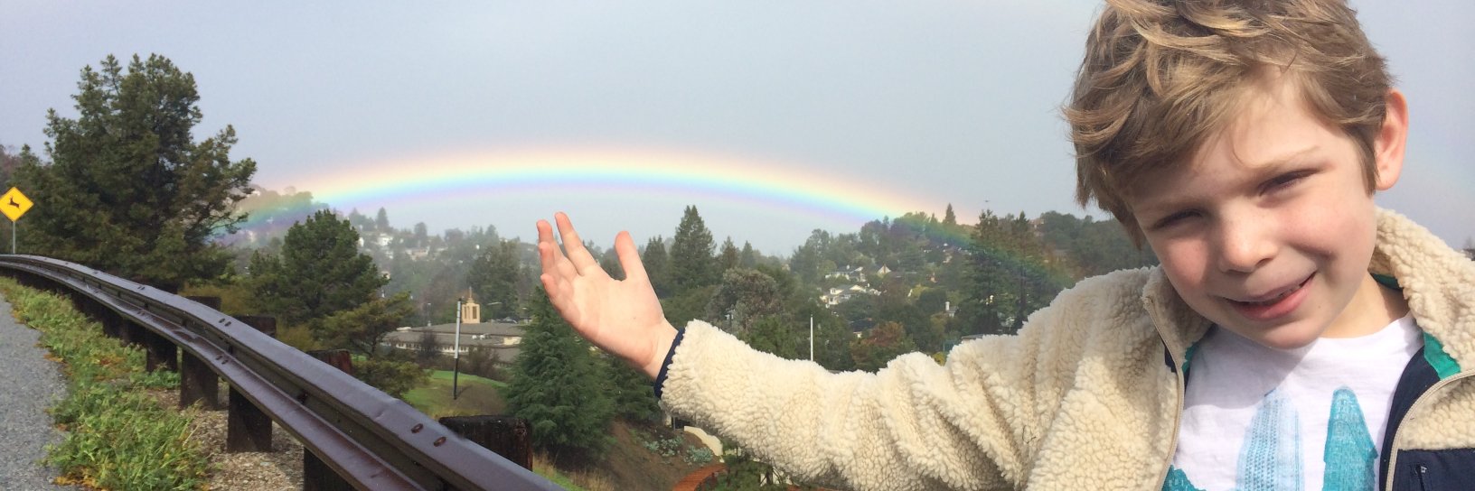 Shane Mclaughlin banner