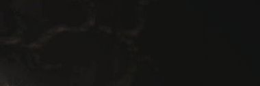 Axel. banner