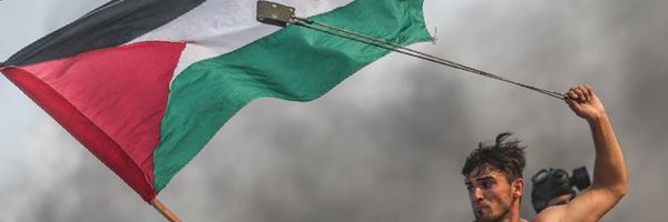 lechuga_feroz Profile Banner