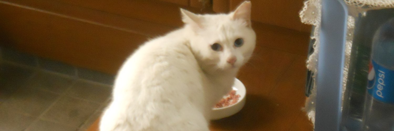 モーグヤマガタ（シオニスト寄り添わない派） banner