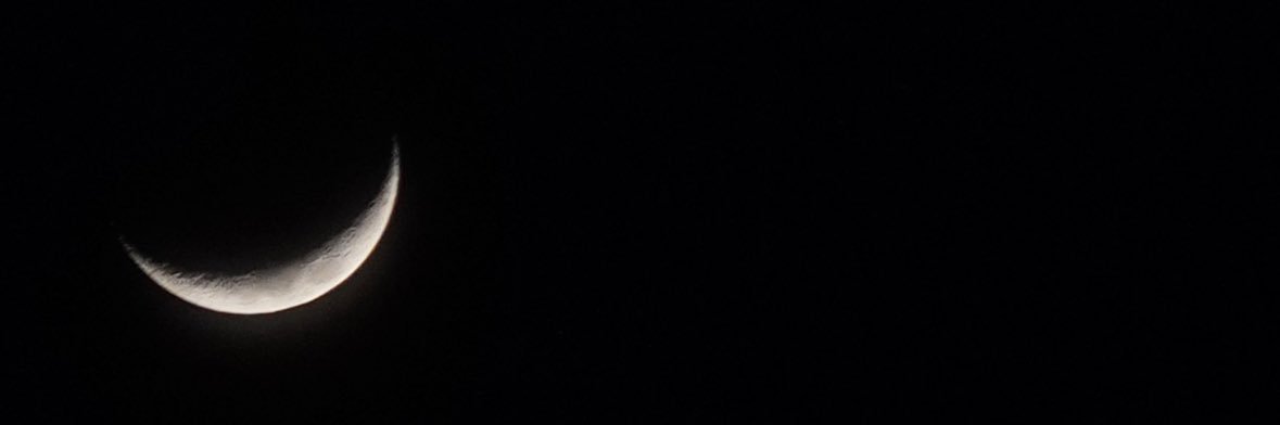 y14nk's profile banner image