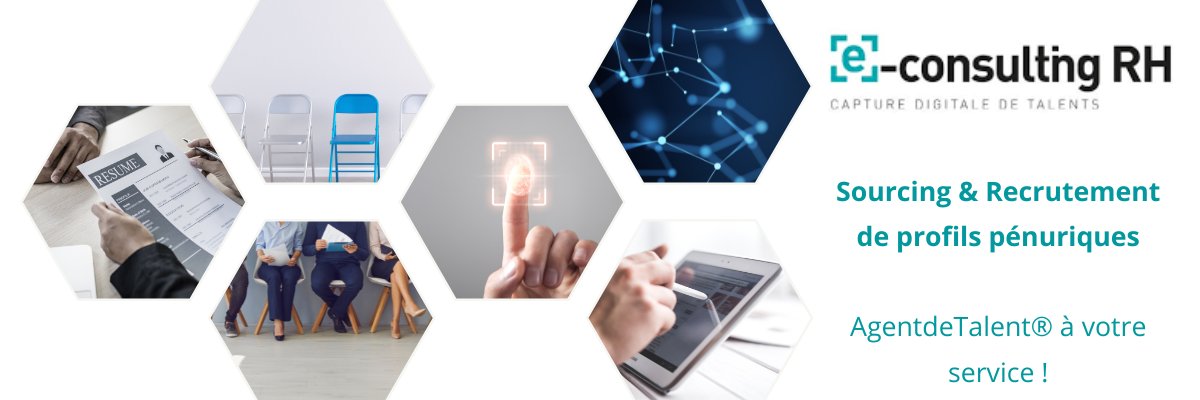 e-Consulting RH banner