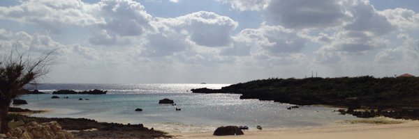 chi_hata Profile Banner