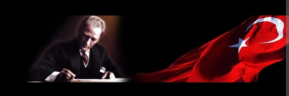 M S banner